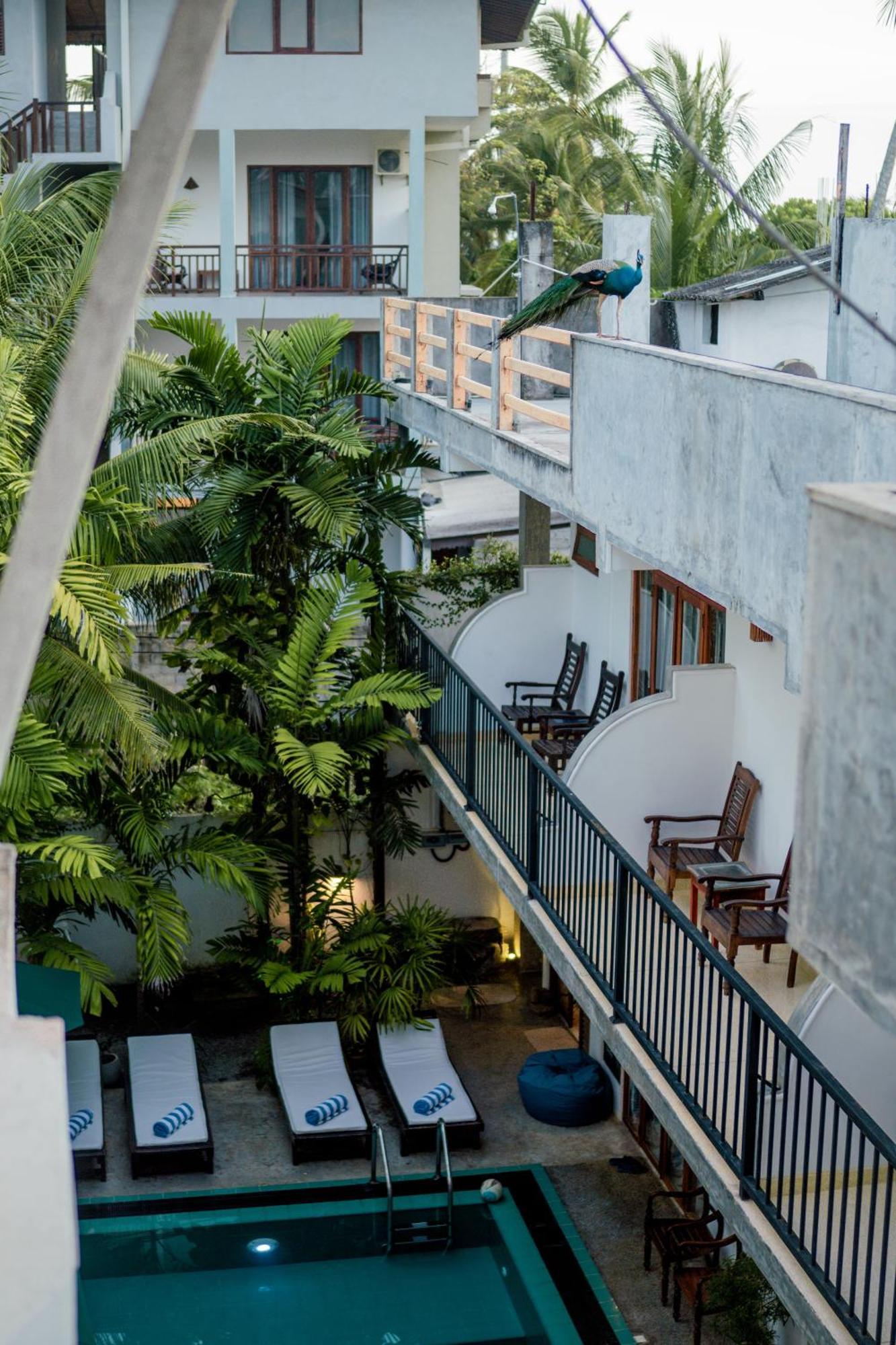 Bienvenido Cozy Madiha Hotell Matara Eksteriør bilde